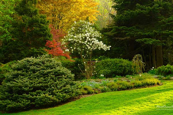 Garden Maintenance Services