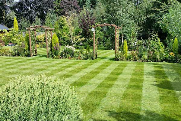 lawn mowing service - striped lawns